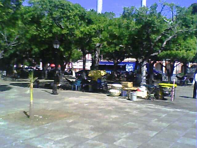Un panorama desolador en parque Centgral Colon